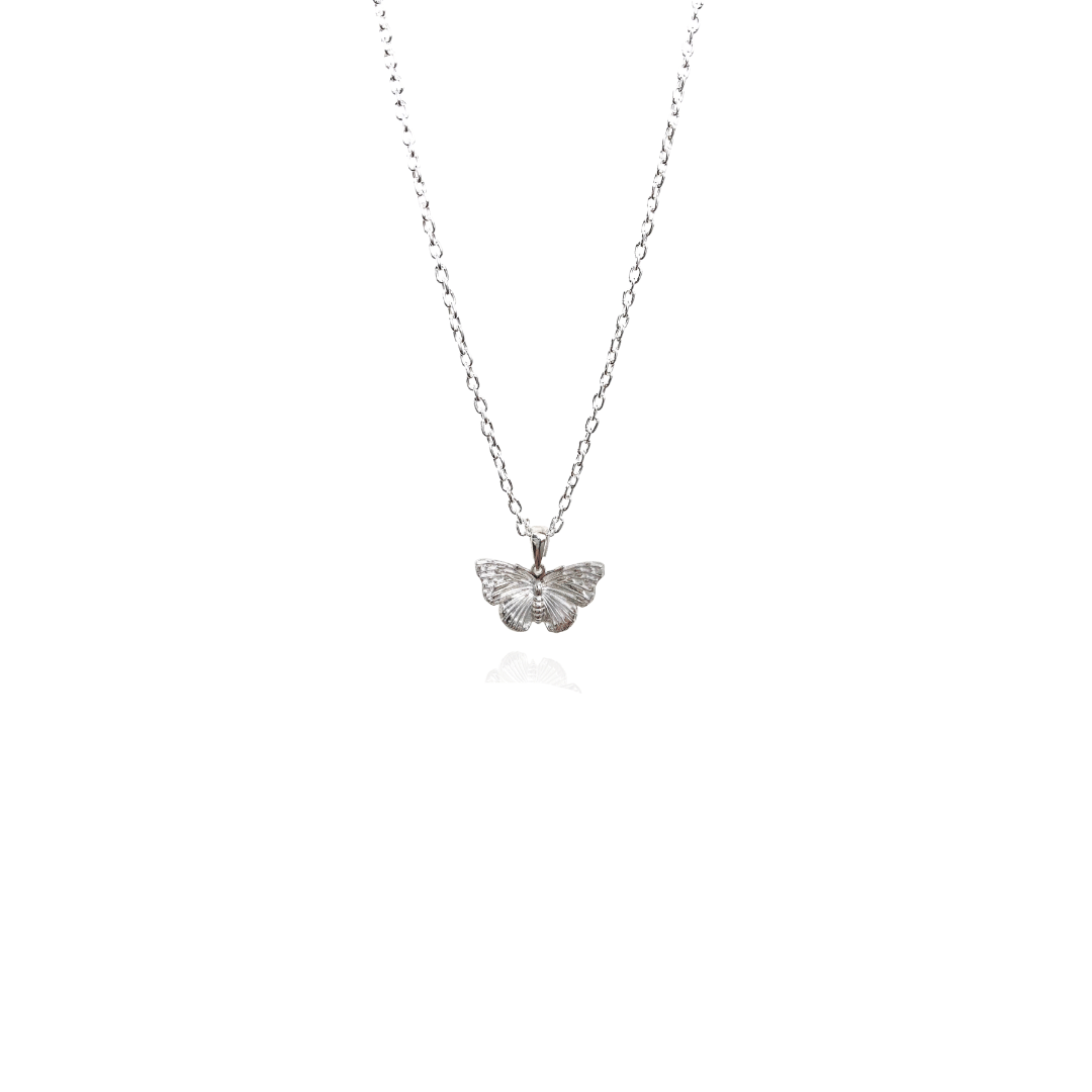 Small silver store butterfly necklace